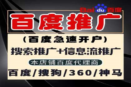 SEM运营公司案例解析：数据分析与优化